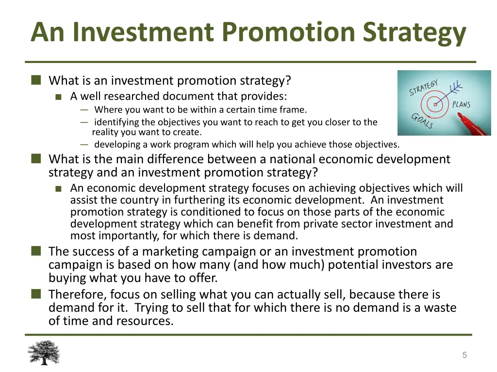 an investment promotion strategy