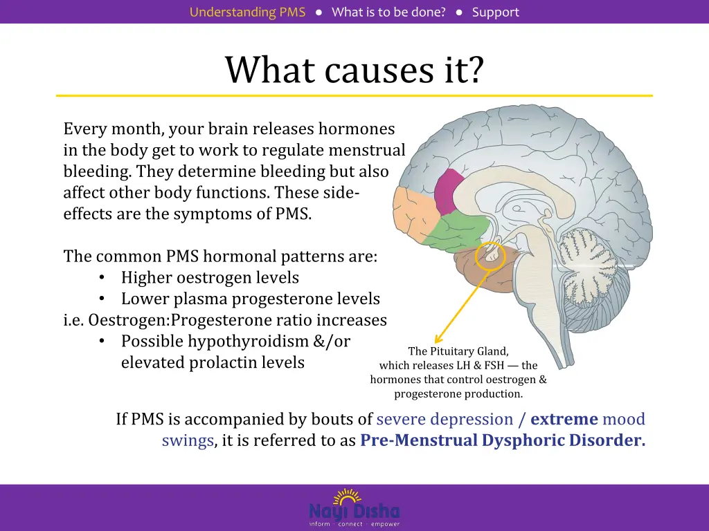 understanding pms what is to be done support 3