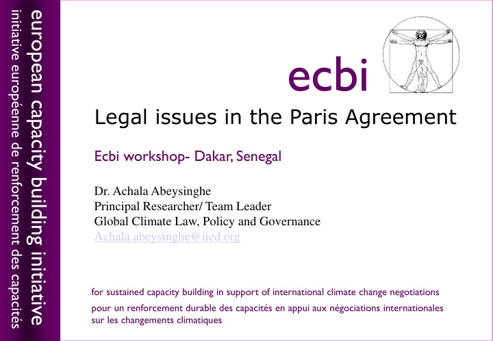 initiative europ enne de renforcement des capacit