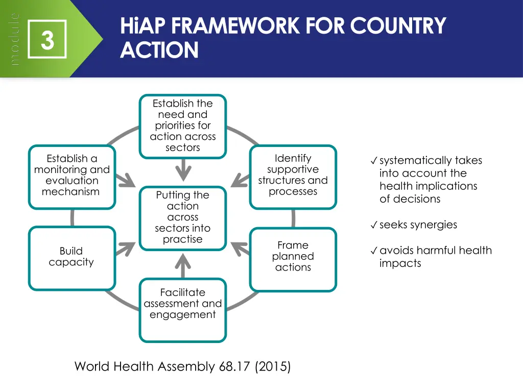 hiap framework for country action