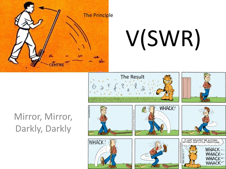 the principle