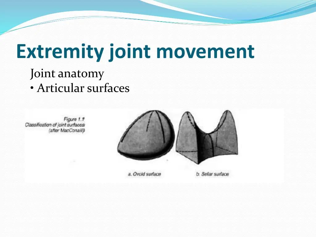 extremity joint movement joint anatomy articular