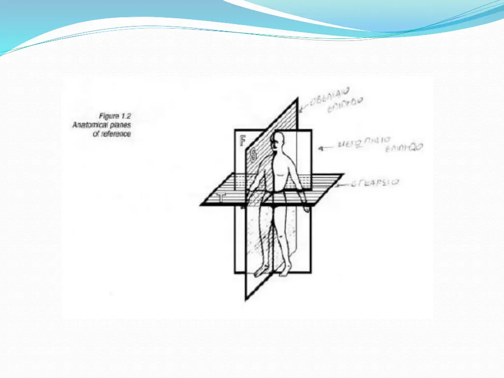 slide27