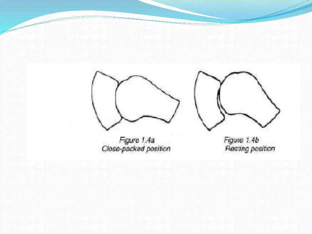 slide41