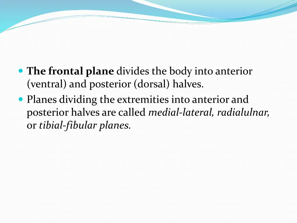 the frontal plane divides the body into anterior