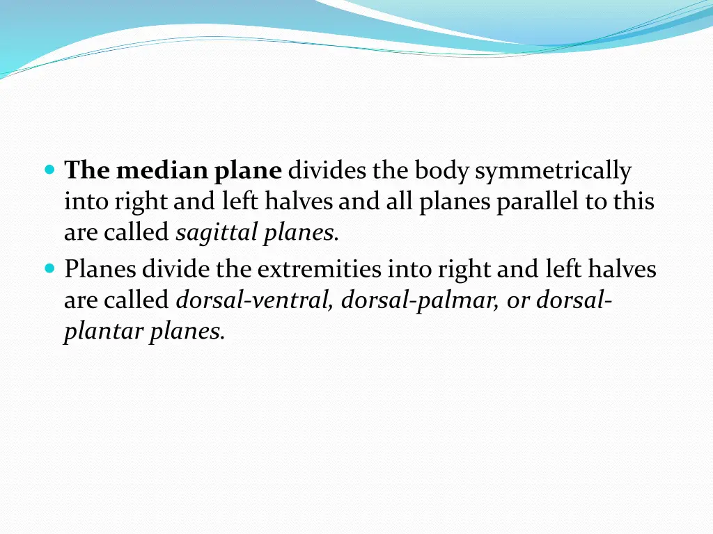 the median plane divides the body symmetrically