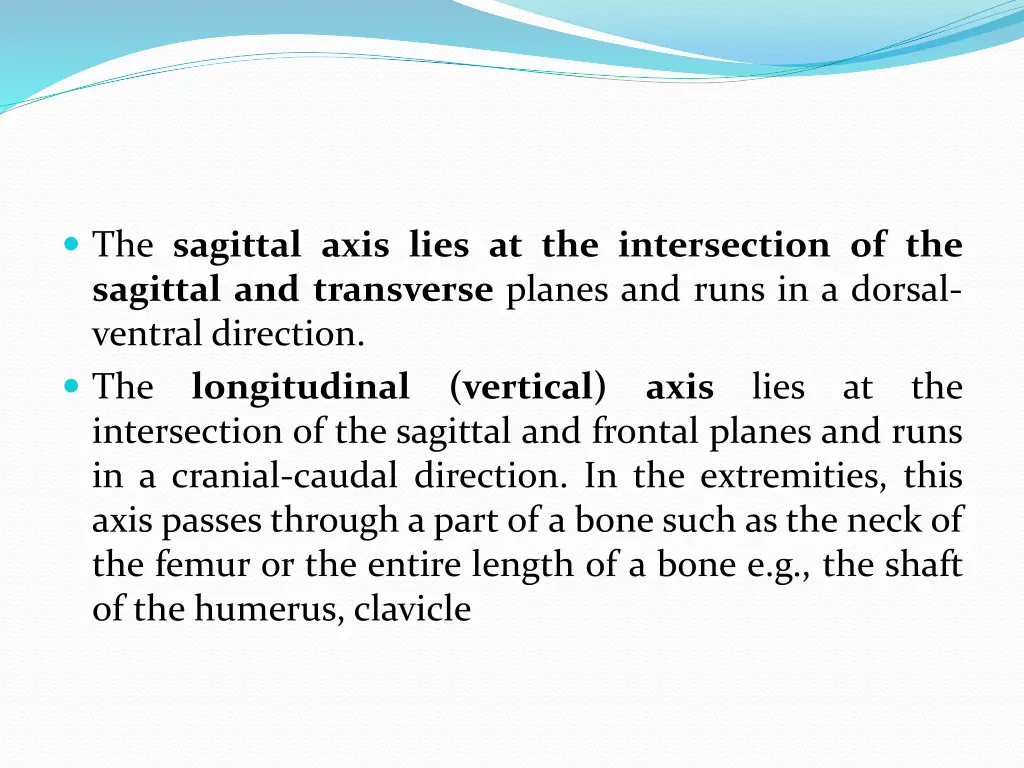 the sagittal axis lies at the intersection