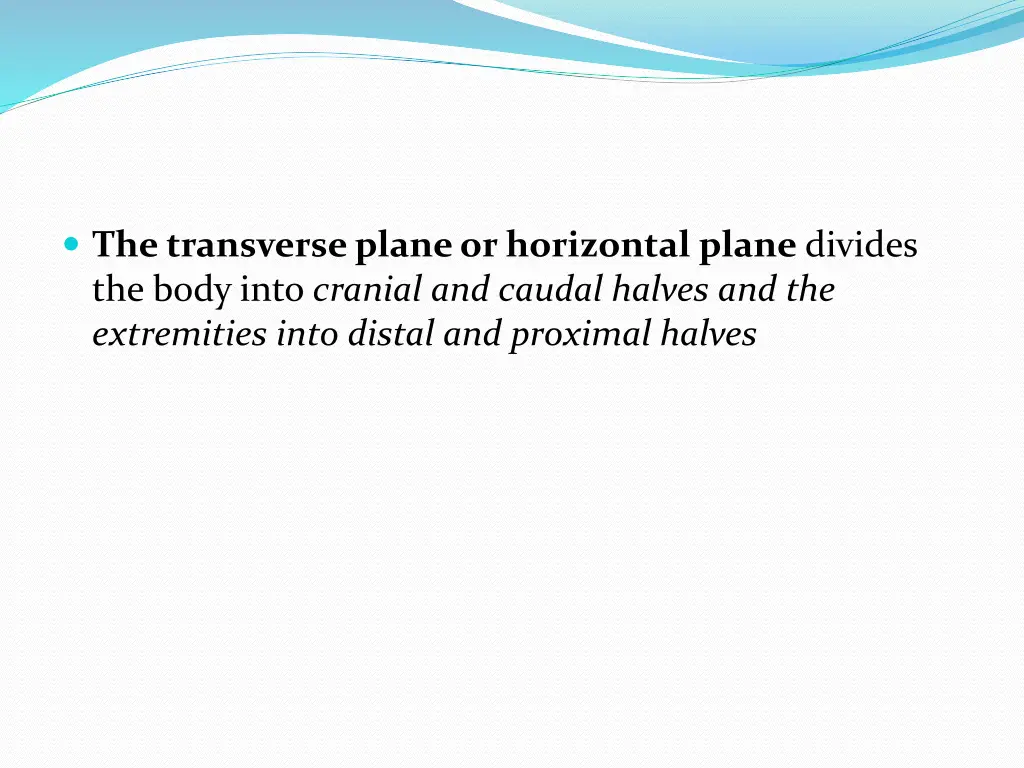 the transverse plane or horizontal plane divides