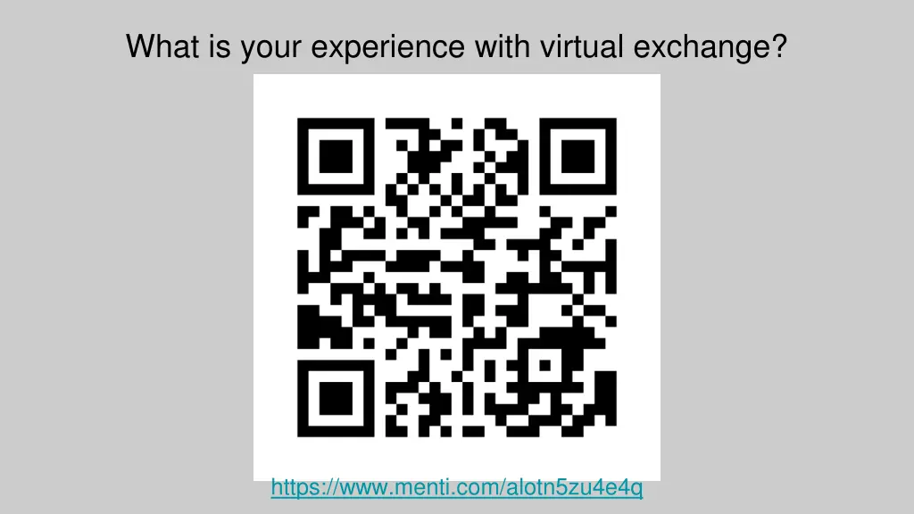 what is your experience with virtual exchange