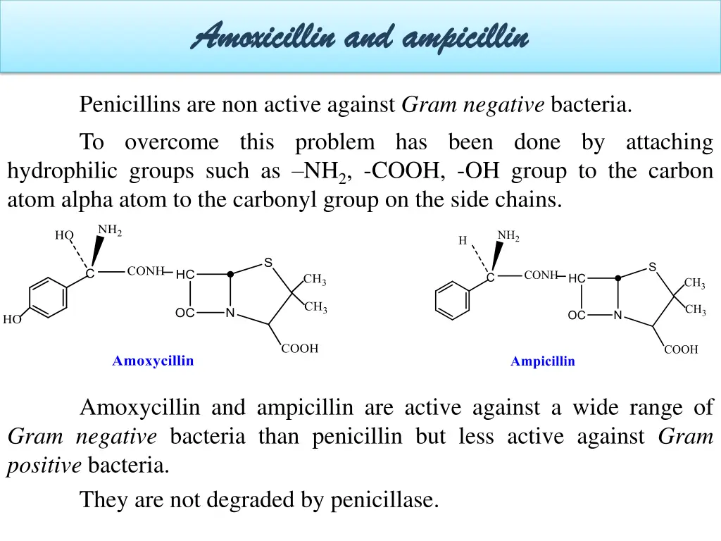 amoxicillin and amoxicillin and ampicillin
