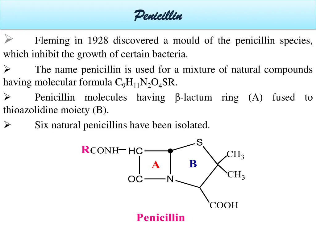 penicillin penicillin