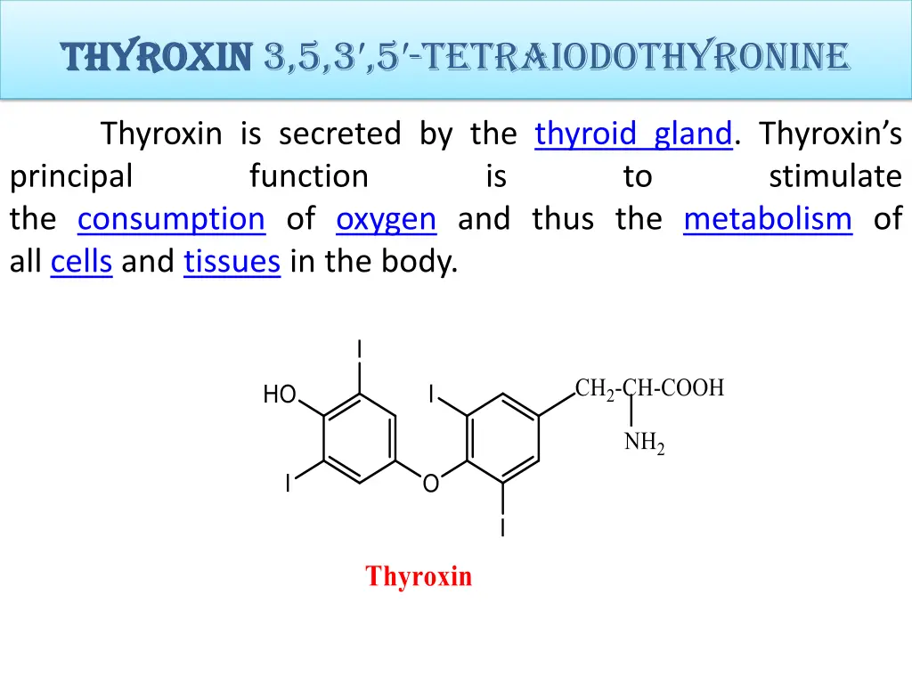 thyroxin thyroxin 3 5 3 5 tetraiodothyronine