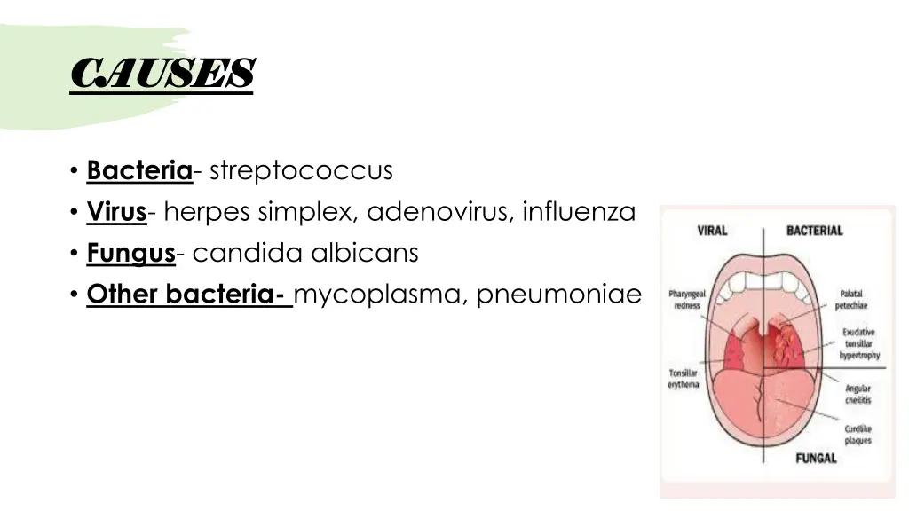 causes causes