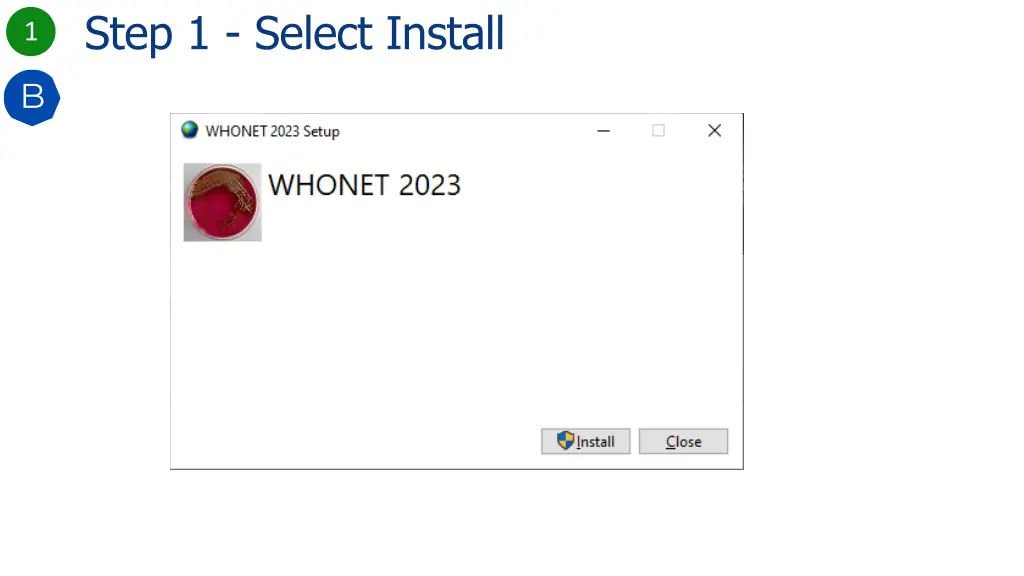 step 1 select install