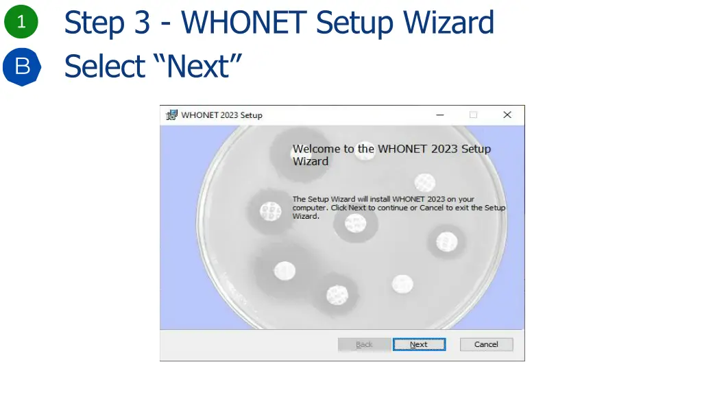 step 3 whonet setup wizard select next