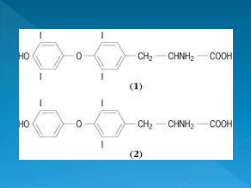 slide9