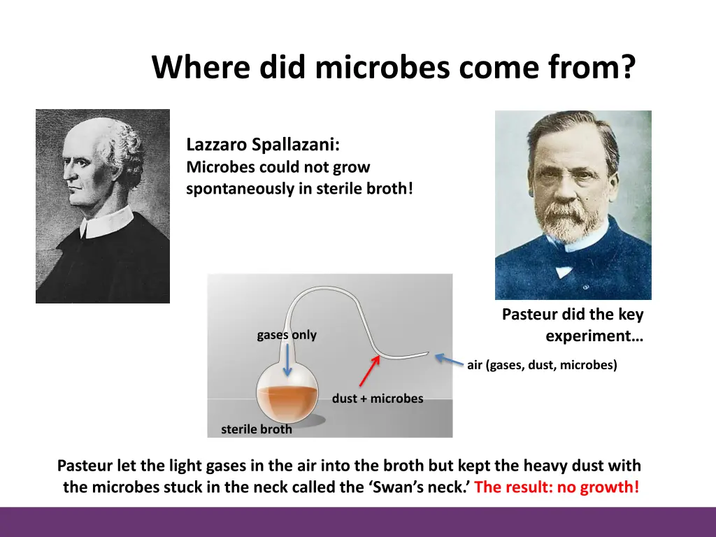 where did microbes come from