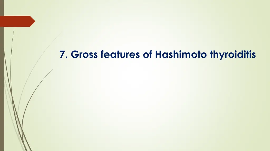 7 gross features of hashimoto thyroiditis