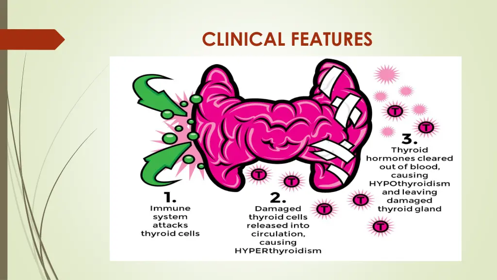 clinical features
