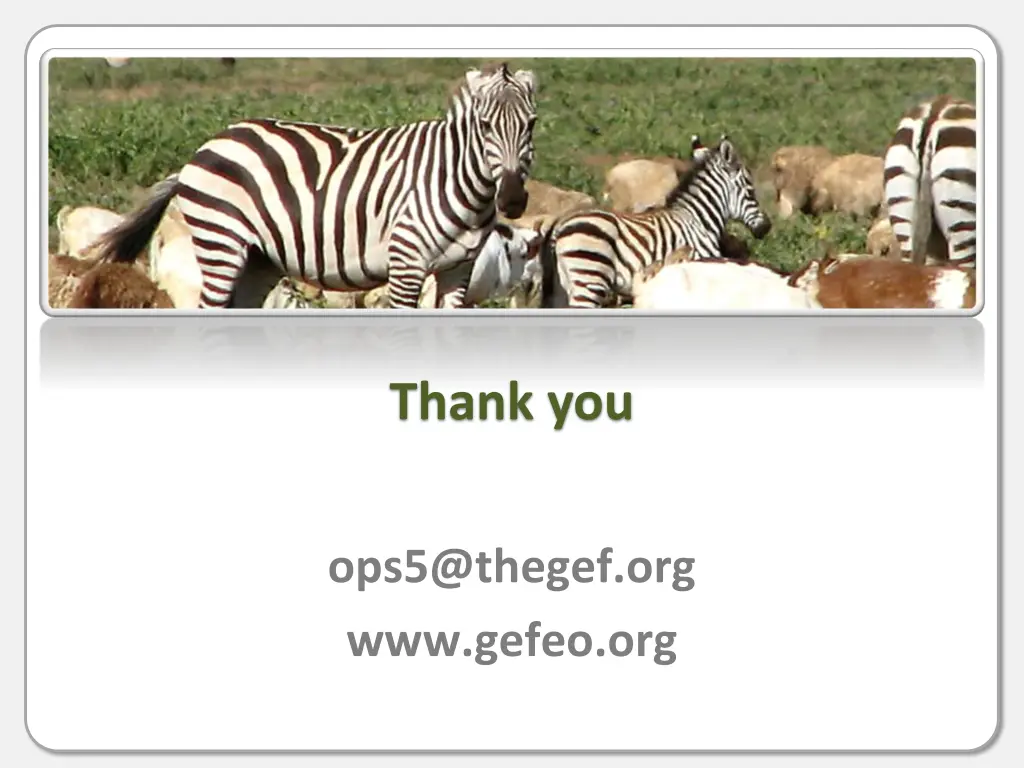 thank you