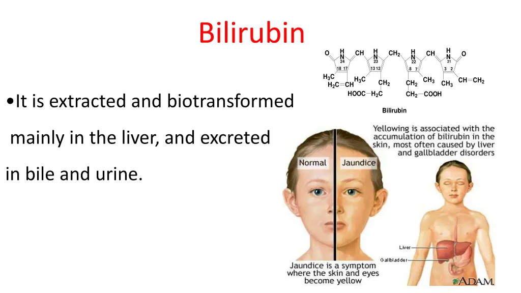 bilirubin 1