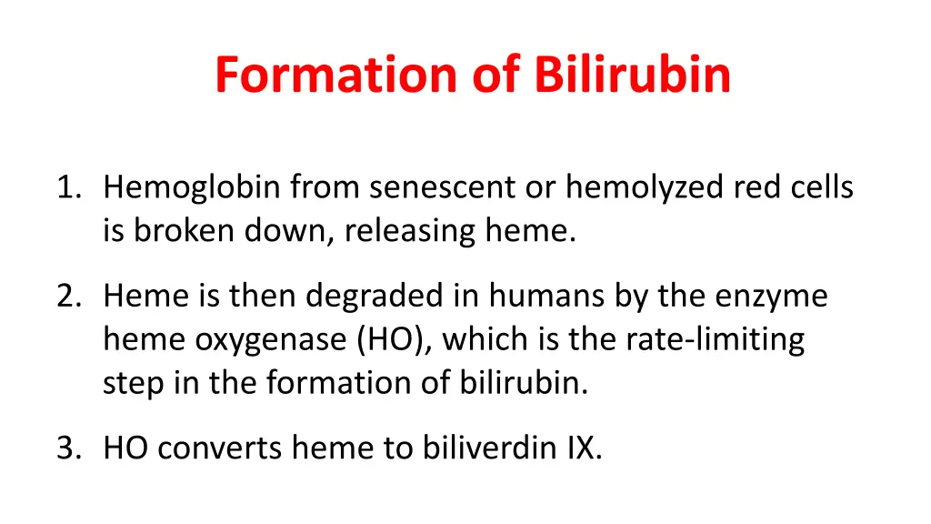 formation of bilirubin