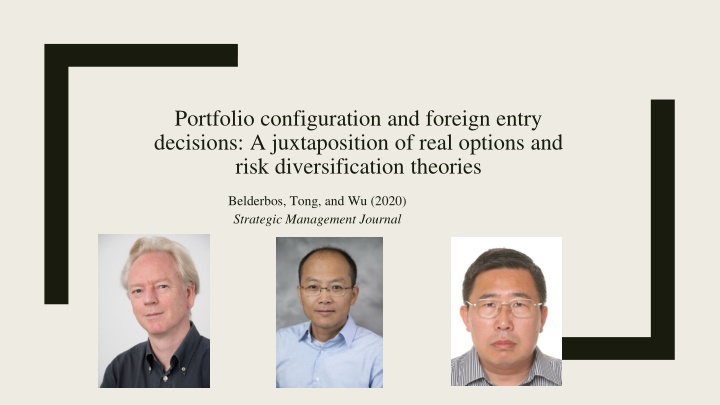 portfolio configuration and foreign entry