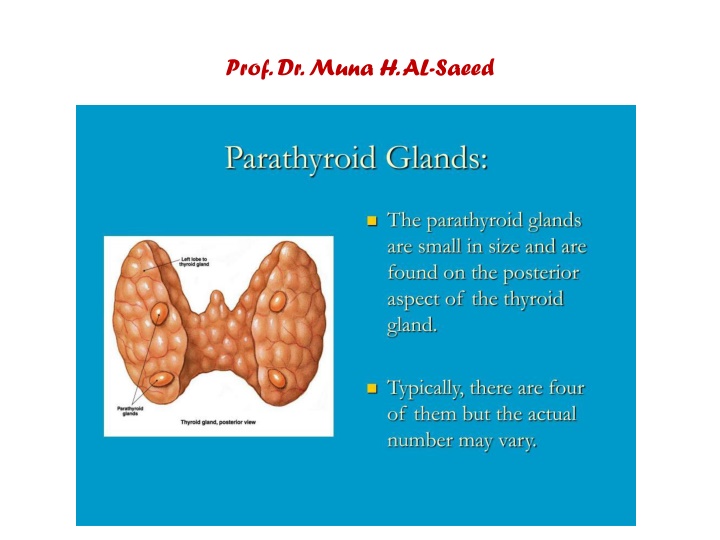 prof dr muna h al saeed