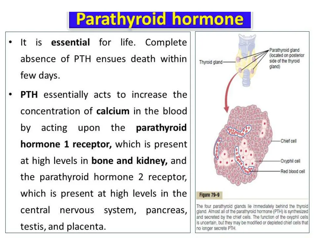 slide3