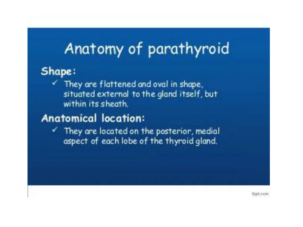 slide6