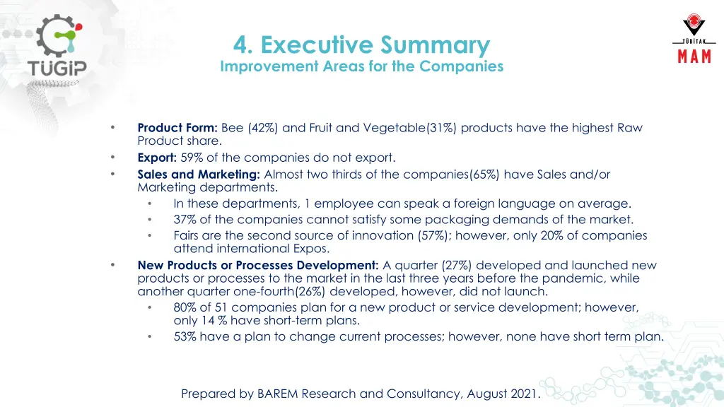 4 executive summary improvement areas