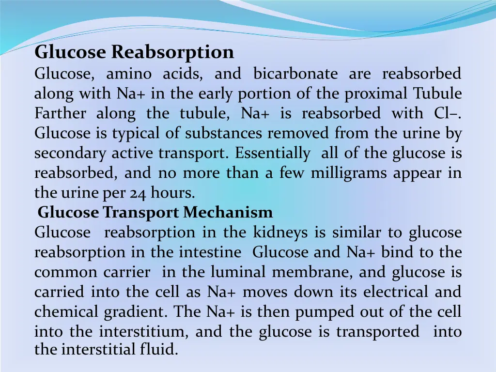 glucose reabsorption glucose amino acids