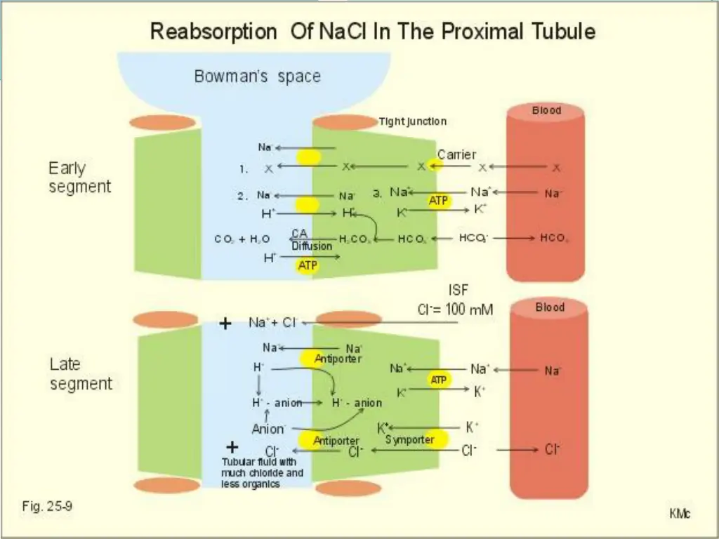 slide3