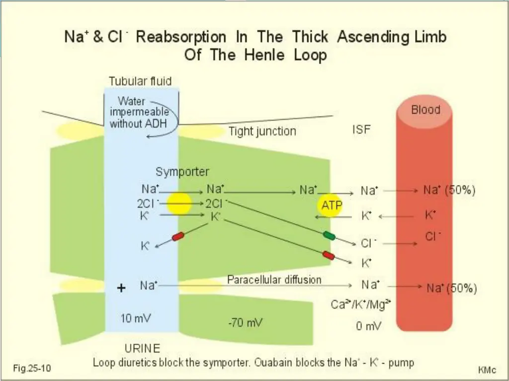 slide4