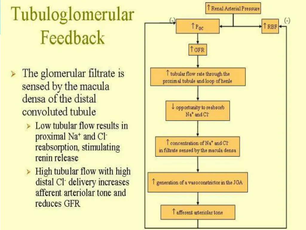 slide8
