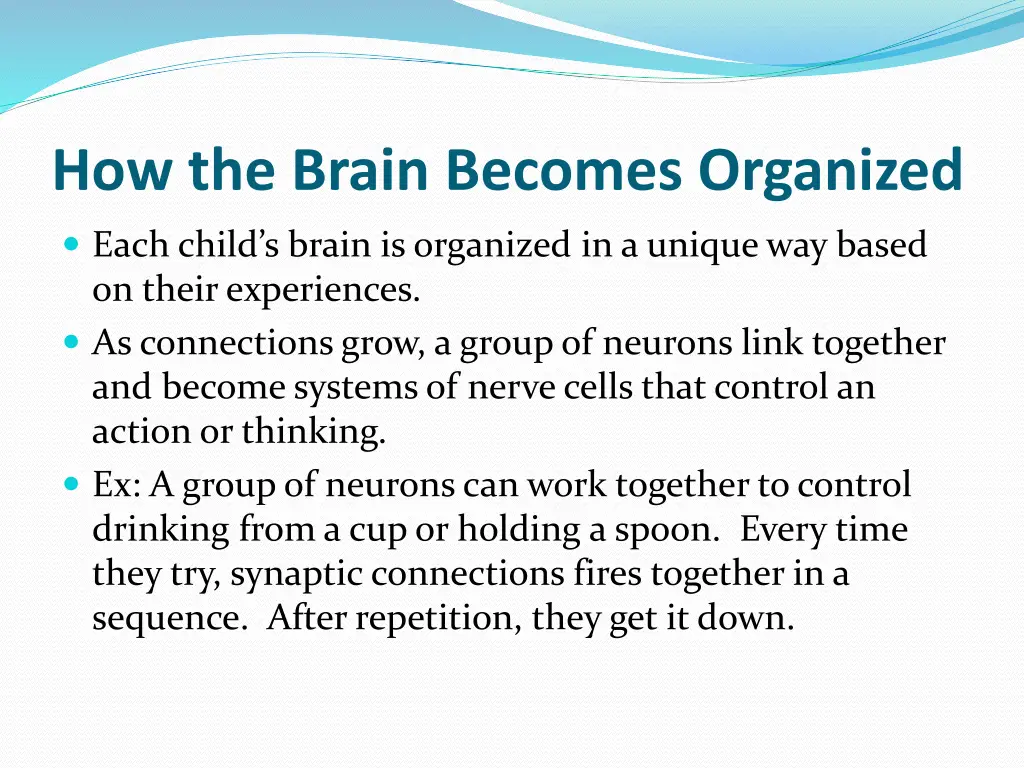 how the brain becomes organized