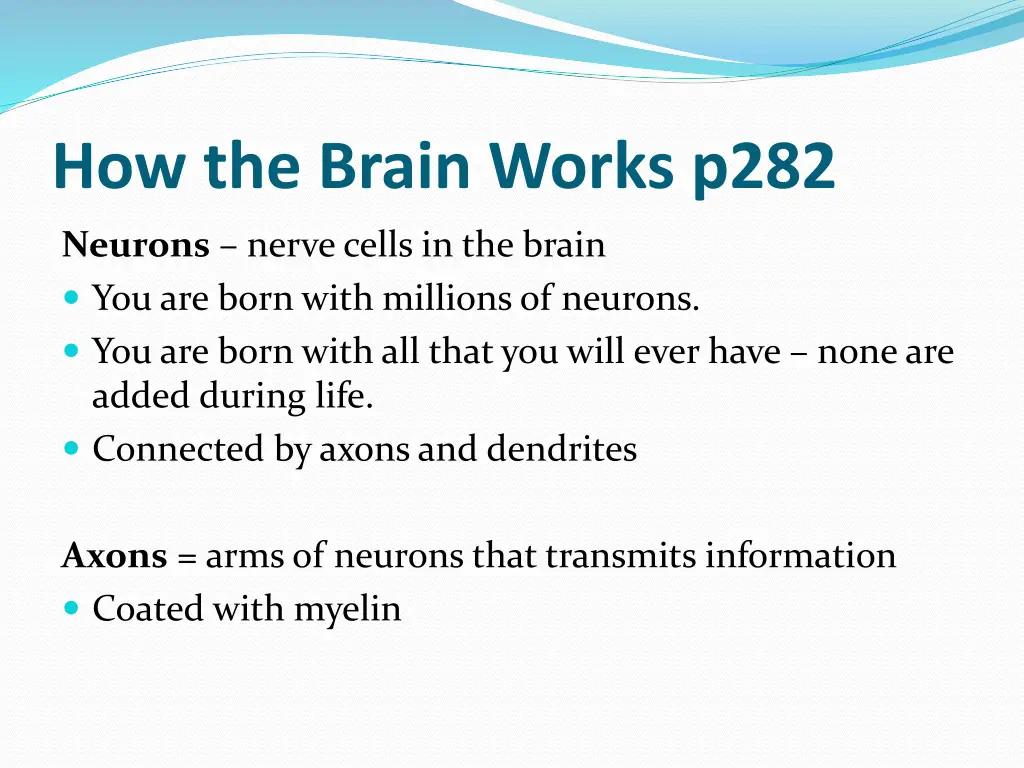 how the brain works p282