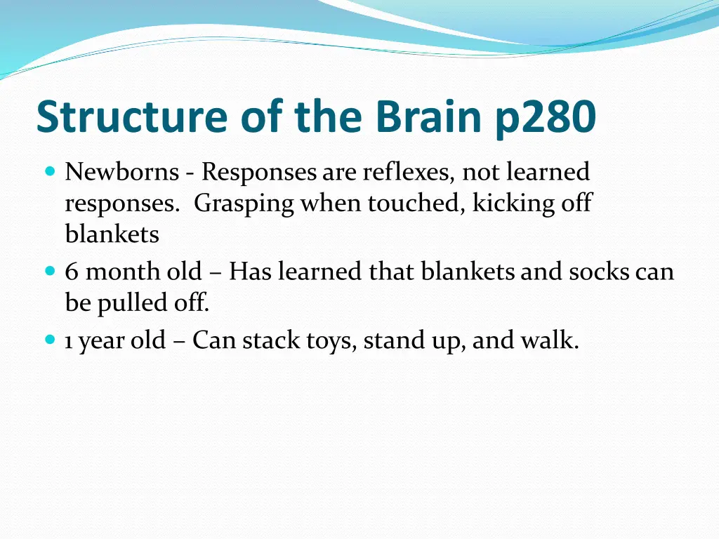 structure of the brain p280