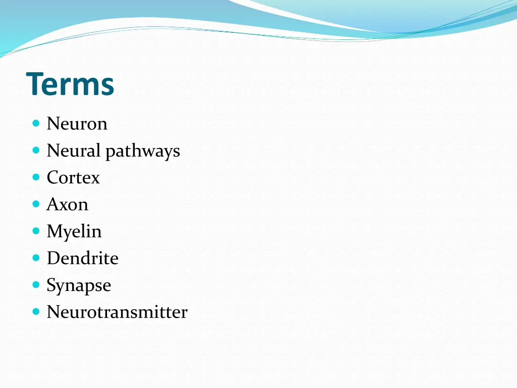 terms