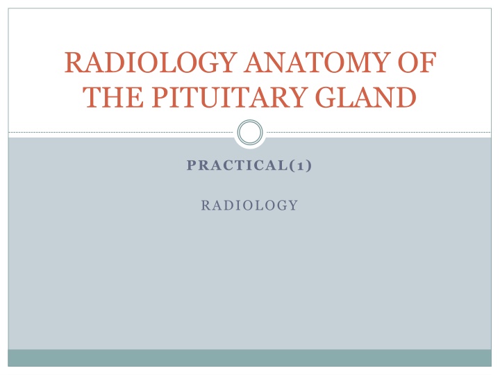 radiology anatomy of the pituitary gland