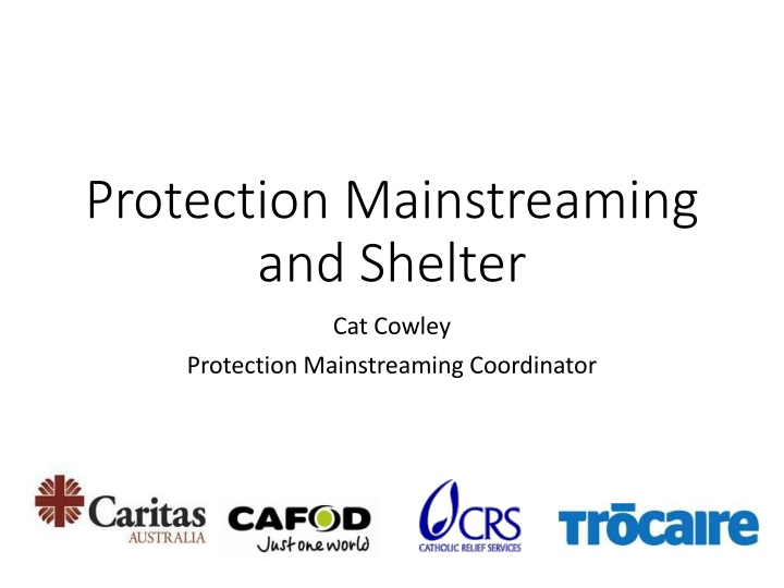 protection mainstreaming and shelter