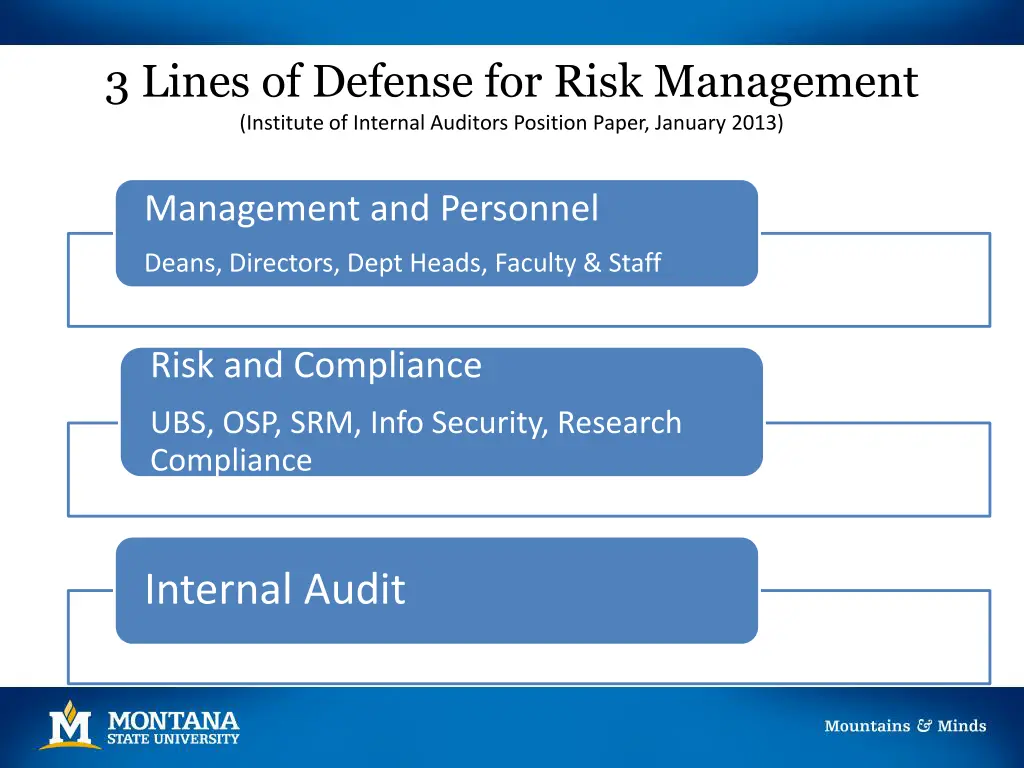 3 lines of defense for risk management institute