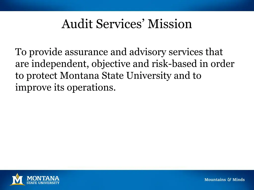audit services mission