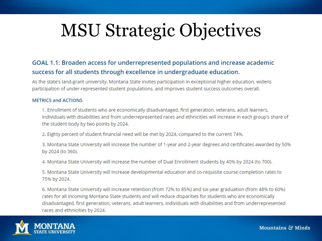 msu strategic objectives