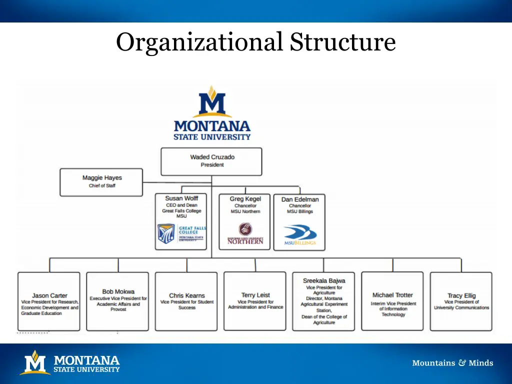 organizational structure