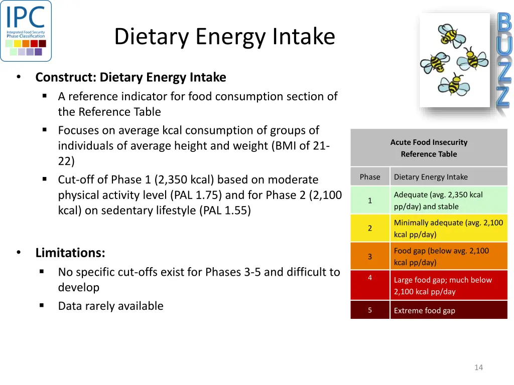 dietary energy intake