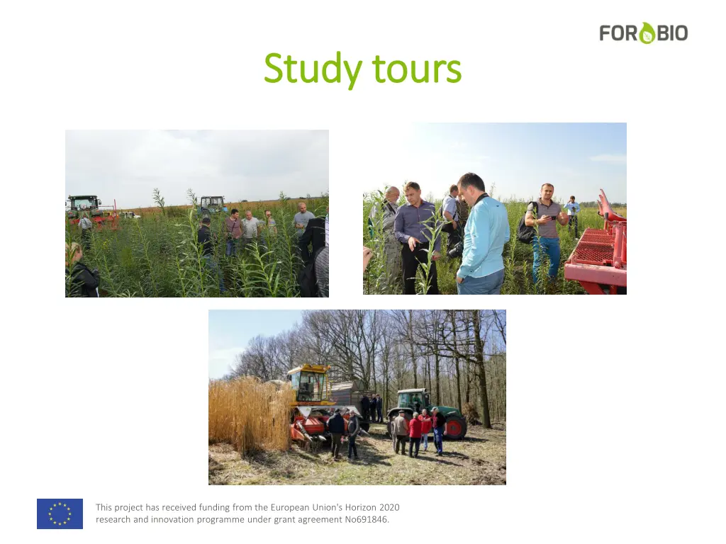 study study tours