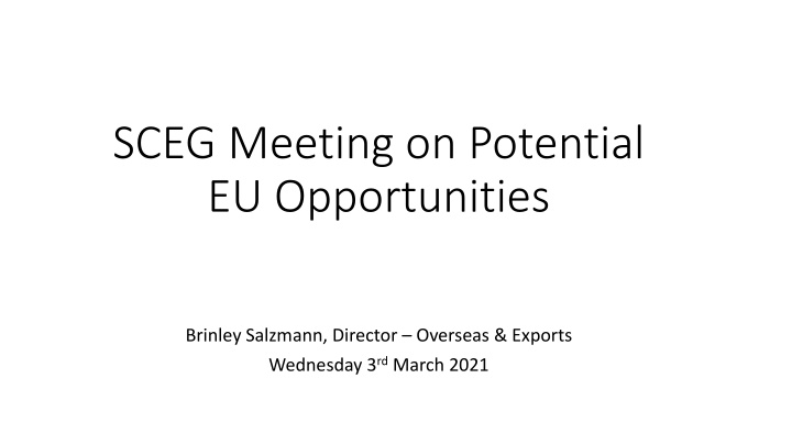 sceg meeting on potential eu opportunities