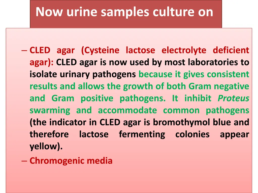 now urine samples culture on