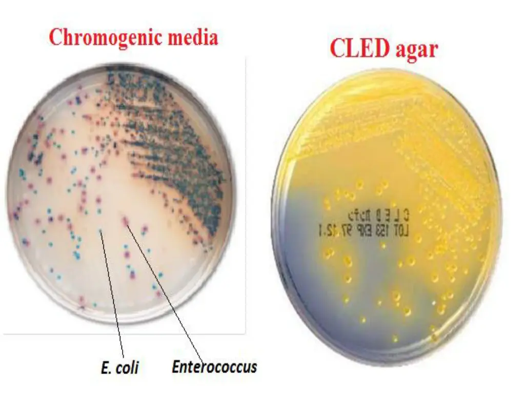 slide13